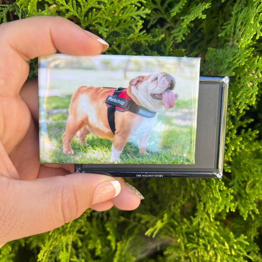 24 Custom 2"x3" Photo Magnets