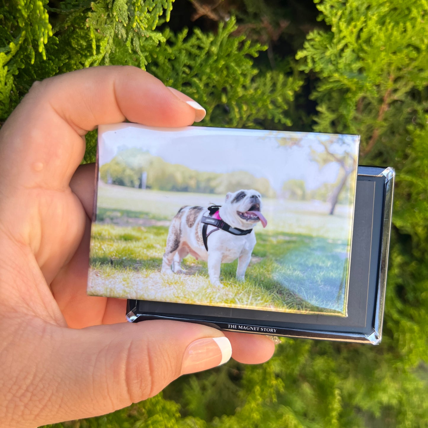 Custom 2"x3" Photo Magnets